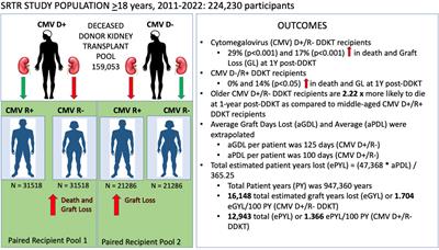 Patient years lost due to cytomegalovirus serostatus mismatching in the scientific registry of transplant recipients